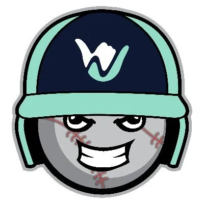 nobrigasports.com's icon