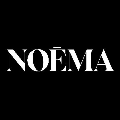 noemamag.com's icon