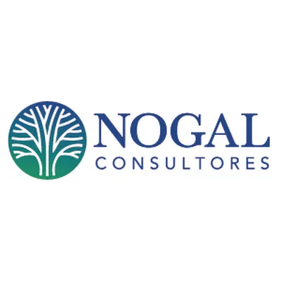 nogalconsultores.com's icon