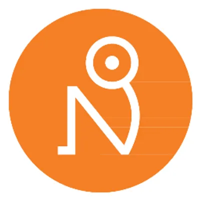 noigroup.com's icon