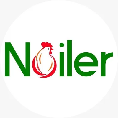 noiler.net's icon