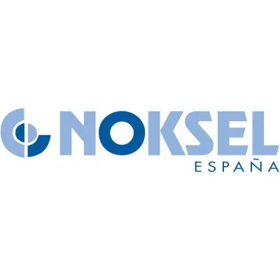 nokselspain.com's icon