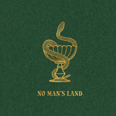 nomanslandftl.com's icon