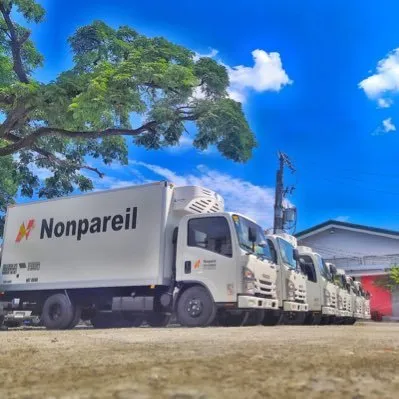 nonpareil.com.ph's icon