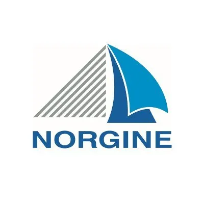 norgine.com's icon