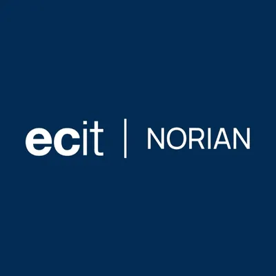 norian.lt's icon