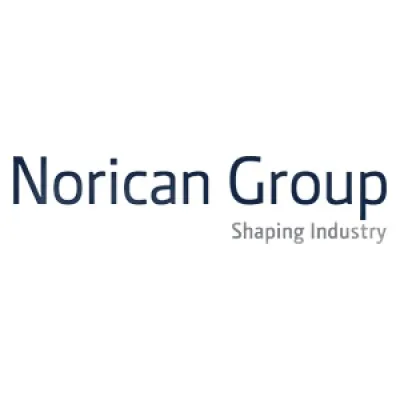 noricandigital.com's icon