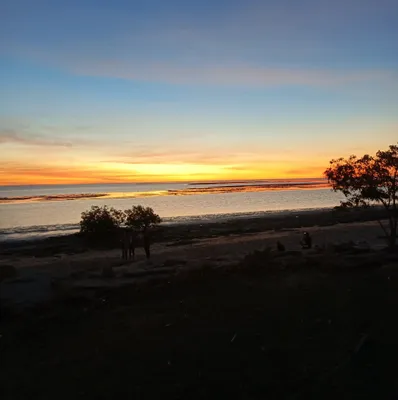 normantontouristpark.com.au's icon