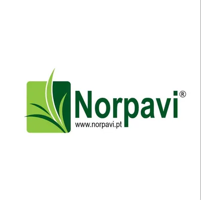 norpavi.pt's icon