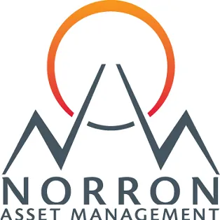 norron.com's icon