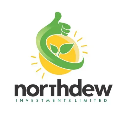 northdew.com's icon