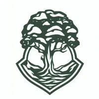 northstarcollegeplanning.com's icon