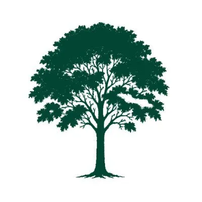 noticiasambientales.com's icon