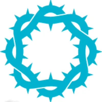 notjustflowerscastro.com's icon