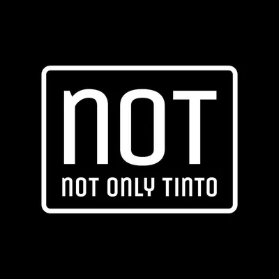 notonlytinto.nl's icon