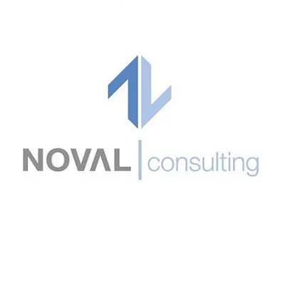 novalconsulting.com's icon