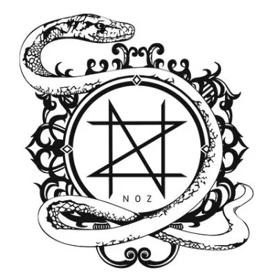 noz-shop.com's icon