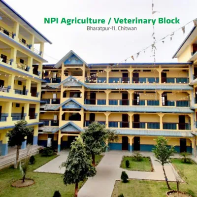 npi.edu.np's icon