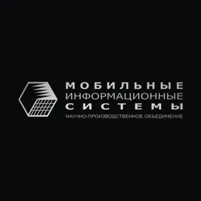 npomis.ru's icon