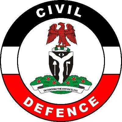 nscdc.gov.ng's icon
