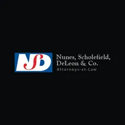 NSDCo's icon