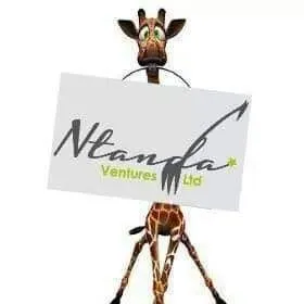ntandaventures.com's icon