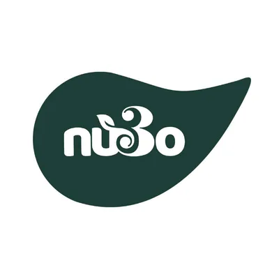nu3o.com's icon