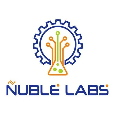 nublelabs.cl's icon