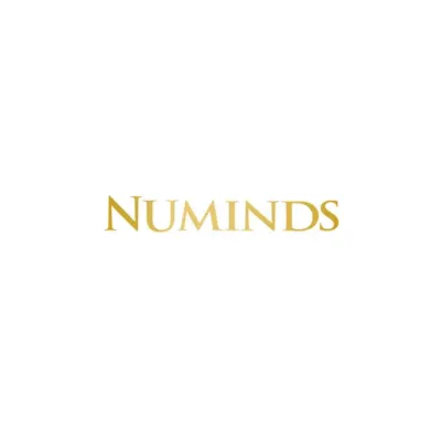 Numinds's icon