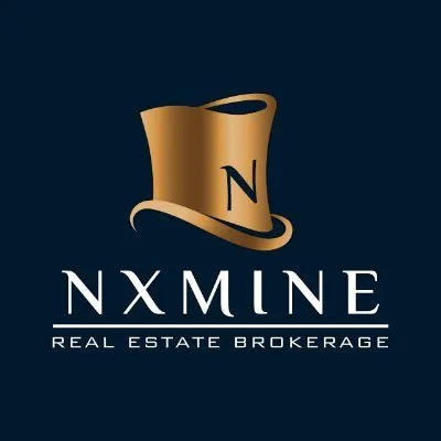 nxmine.com's icon
