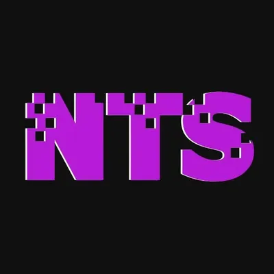 nyetechnicalservices.com's icon