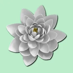nympheaanimation.com's icon