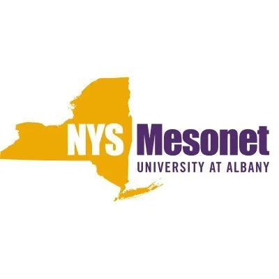 nysmesonet.org's icon