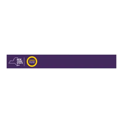 nyswellbeing.com's icon