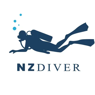 nzdiver.nz's icon