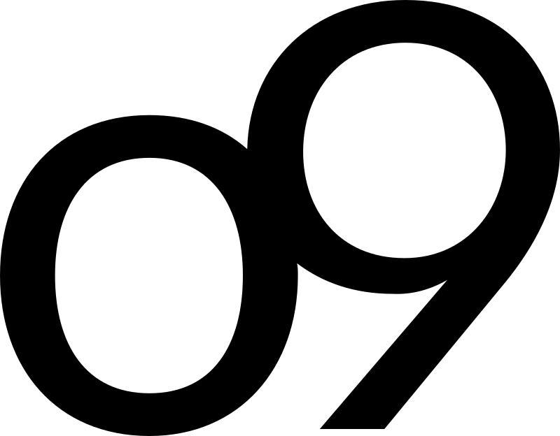 o9 Solutions logo
