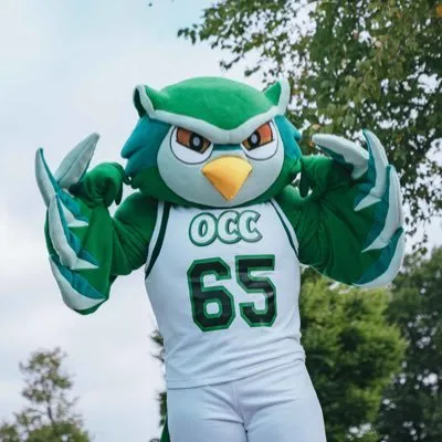 oaklandcc.edu's icon