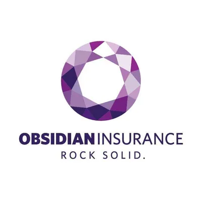 obsidianinsurance.co.nz's icon