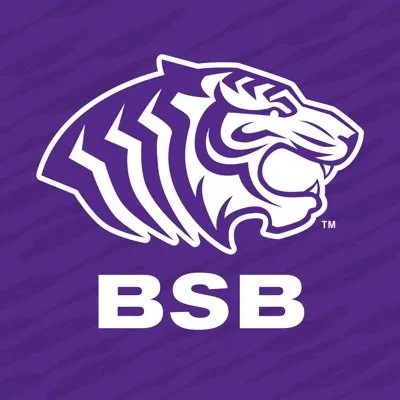 obutigers.com's icon