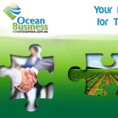 oceanbusiness.com.es's icon
