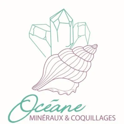 oceane.shop's icon