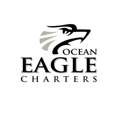 oceaneagle.co.nz's icon