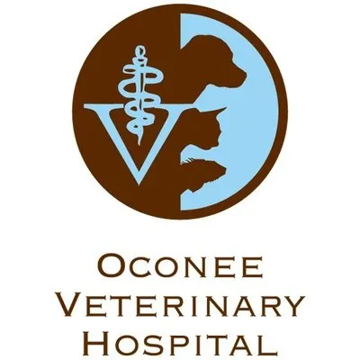 oconeevet.com's icon