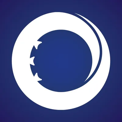 octopus-consulting.com's icon