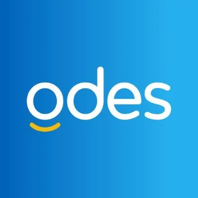 odes.com.sg's icon