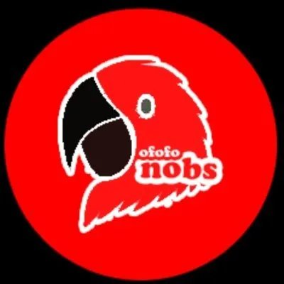 ofofonobs.com's icon