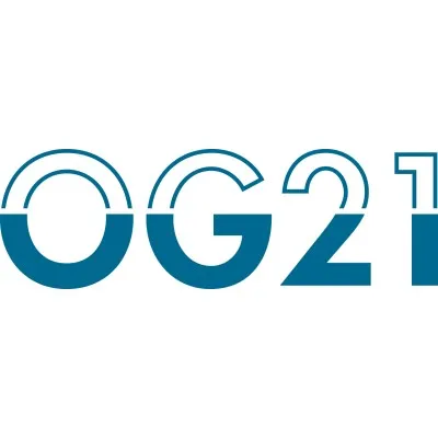 og21.no's icon
