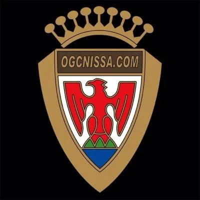 ogcnissa.com's icon