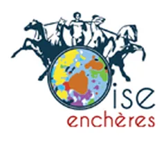 oise-encheres.com's icon