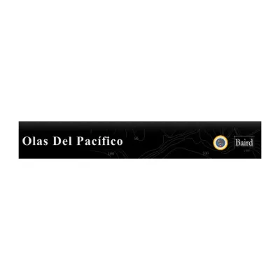 olasdelpacifico.com's icon